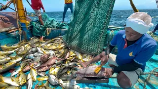 A Full Day Fishing Life At Sea! 🌊 Lots of Trevally Fish Caught & Delicious Meal |Uncut Full Day Vlog