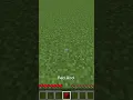How to Place a Block in Minecraft