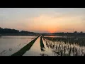Download Lagu PHP ( pemberi harapan palsu ),  G.O.D reggae (lirik)