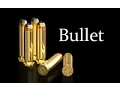 Ruby on Rails - Railscasts Bullet