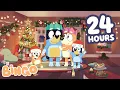 🔴LIVE: Bingo All The Way! 🧡 🎄 24 HOURS Of A Heeler Christmas | Bingo - Official Channel