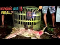 Lagu HEBOH JERAT‼️HANTU AIR / KUYANG MASUK PERANGKAP