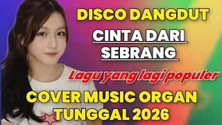 cinta dari sebrang disco dangdut remix viral 2025 cover musik organ tunggal terbaru 