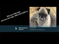 Vídeo piloto: Contento de Contento - Josean Log