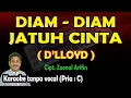 Download Lagu Diam diam jatuh cinta karaoke D'lloyd