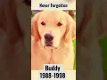 Download Lagu Air Buddy