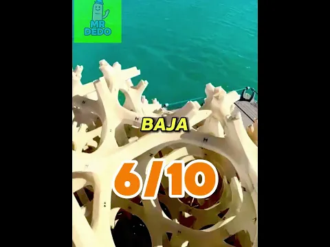 😳 ¿Cuántos Dedos Bajarás ¡Solo los Niños Más Únicos Llegan al Final!