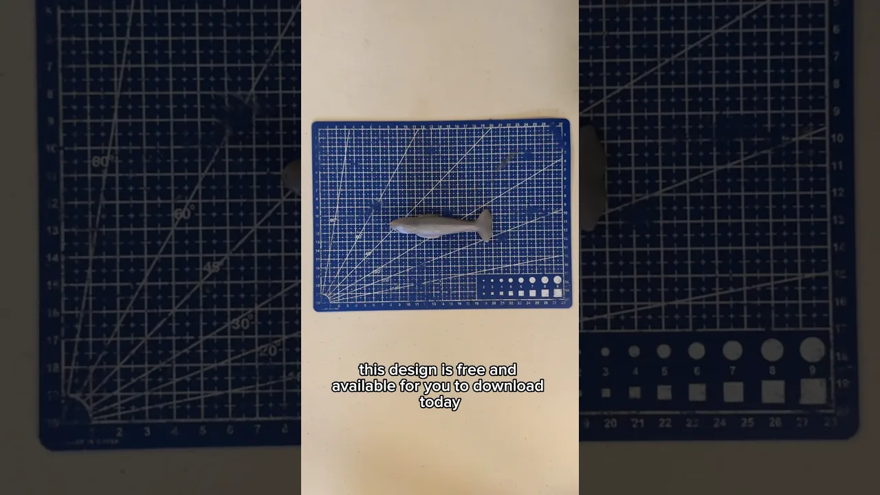 Narwhal video thumbnail