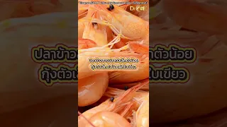 ทำไมการกินแคลเซียมคาร์บอเนตโดยไม่ได้รับวิตามิน K2 ถึงเพิ่มความเสี่ยงหัวใจวาย