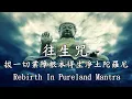 【往生咒】《拔一切業障根本得生淨土陀羅尼》，一小時105次，據記載：此咒包含兩種功效：「拔一切業障『根本』」與「得生淨土」｜Rebirth In Pureland Mantra 1 Hour