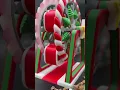 The colorful Christmas print created by our customer bring us a strong festive atmosphere