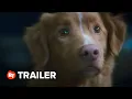 Download Lagu Good Boy Trailer #1 (2025)