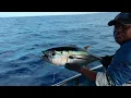 Download Lagu Big Tuna Hilang Nafsu Makan Umpan part 1