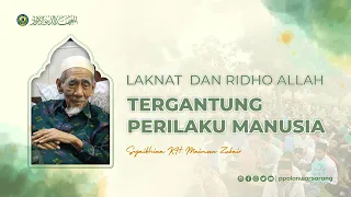 Download LAKNAT DAN RIDHO ALLAH TERGANTUNG PERILAKU MANUSIA | Almaghfurlah KH. Maimoen Zubair MP3