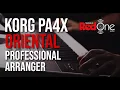 Download Lagu Korg PA4X 61 Oriental Professional Arranger Overview (Performance Video)