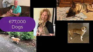 the squash project s1e5 the look of limber dog spinal movement health part 2