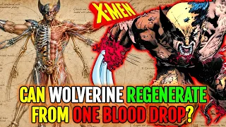 Wolverine s Healing Factor Anatomy Explained - Can Logan Truly Survive Any Injury