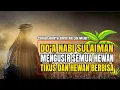 Pengusir Tikus Dirumah, Ladang, Sawah, Kebun Dengan Do'a Nabi Sulaiman