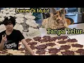 Download Lagu Resep Shortbread  Kue Kering Legendaris Di LN.