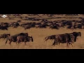 Download Lagu Maher Zain   BilThikr   ماهر زين   بالذكر Official Music Video 2016