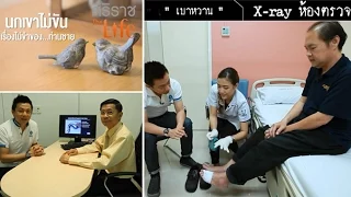 สาเหตุหลักของปัญหาหย่อนสมรรถภาพทางเพศในผู้ชายคืออะไร