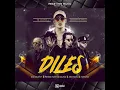 Bad Bunny, Ozuna, Farruko - Diles (Audio) ft. Arcangel, Ñengo Flow, Dj Luian, Mambo Kings