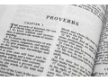 Proverbs 12 KJV Read Along