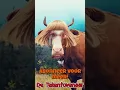 Download Lagu Booooeoeoe!!! #funny #funnyvideo #funnyshorts #memes #humor #crazy #trending #grappig #fun