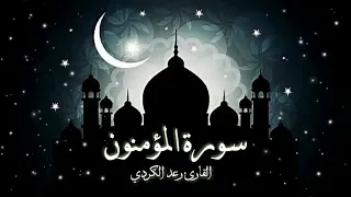 سورة المؤمنون كاملة تلاوة جميلة وخاشعة للقارئ رعد الكردي 