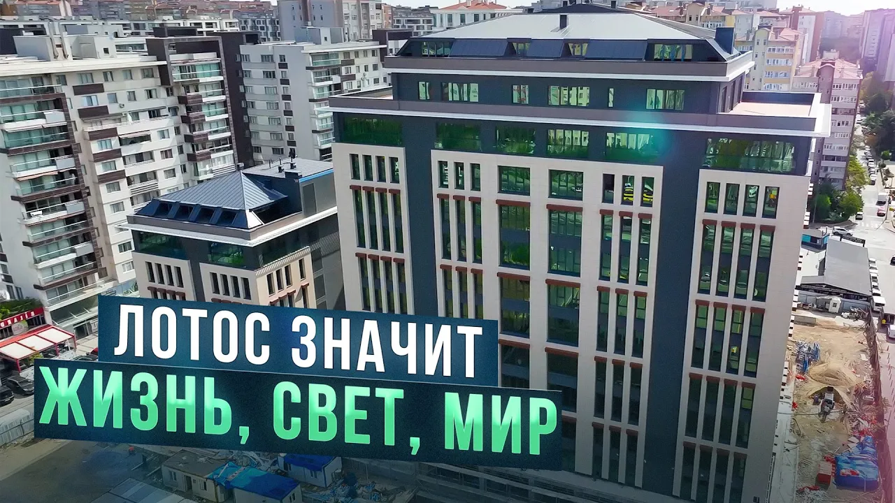 Проект, словно цветок лотоса, который распустился посреди городской суеты