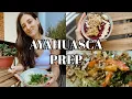 Download Lagu How I Prepare For Ayahuasca Ceremony 🌿 Dieta + Emotional \