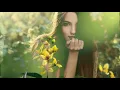 Download Lagu Sometimes When We Touch 當我倆接觸時 [ 經典抒情金曲 ] / Dan Hill [ 中英歌詞 ]