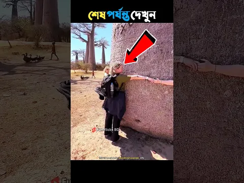 #bts