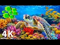 Download Lagu Under The Sea 4K - Beautiful Coral Reefs, Sea Animals \u0026 Relaxing Music #9