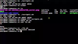 How to execute a shell script in Linux