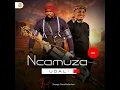 Udali (feat. Shenge Wasehlalankosi)