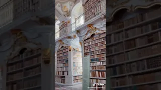 مكتبة الأميرة والوحش  مكتبة الأميرة والوحش