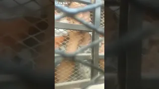 اكسبلور ربنا يفكها عليك احبيب قلبي كلها يومين وترجعلنا بسلامه انشاء آل ل ه عشمنا في ربنا كبير 