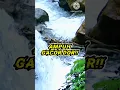 Download Lagu Suara Air Mengalir Deras Terapi Burung Cepat Gacor MP3