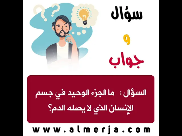 ⁣ثقف نفسك 10 .. سؤال وجواب🕯📔💡📔🕯