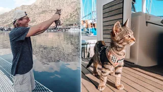 Not the video we wanted to post today | Finn is Missing | Sailing Sunday