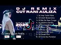 Download Lagu DJ REMIX CUT RANI AULIZA TERBARU 2025 FULL BASS | DJ JANJI TIADA FAKTA, SALAHMU SENDIRI FULL ALBUM