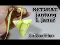 Download Lagu Cara membuat ketupat jantung 1.janur dari janur daun kelapa, ketupat lebaran / Nasuki titik terang