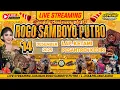 Lagu Live Jaranan ROGO SAMBOYO PUTRO Spesial Anniversary Ke 17 di Ketami Kediri. L JHA\u0026PELANGIAudio