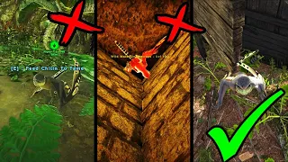 Ark Best and Fastest Sinomacrops tame method 100 STILL WORKING 2022