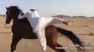الخيل من خيالها   الخيال سلطان الرشيدي دندنها