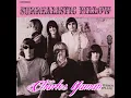 Jefferson Airplane - White Rabbit (Mono Single Version) With Lyrics