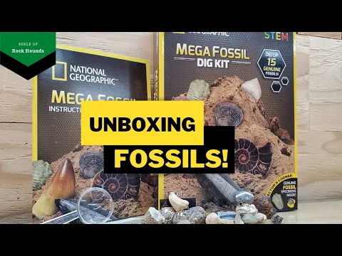 UNBOXING: Nat-Geo Mega Fossil Dig Kit