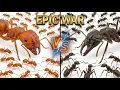 Harvester Ants vs Trap-Jaw Ants The Ultimate Colony War