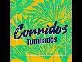 Necesito Decirte - Conjunto Primavera